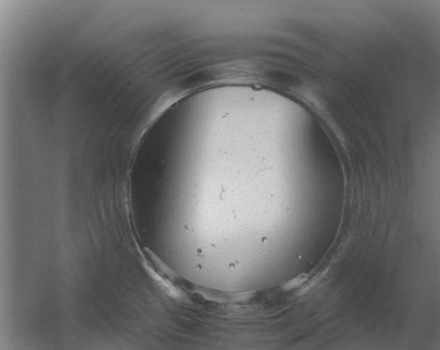 X0000059811433200511041642