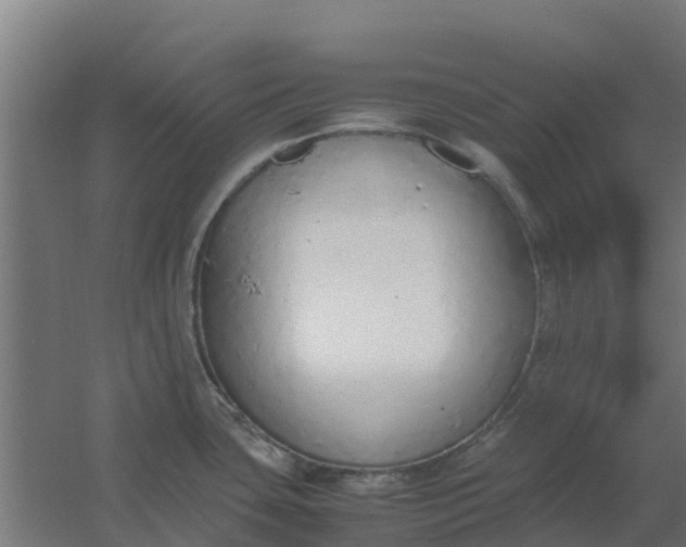 X0000059811435200511041642