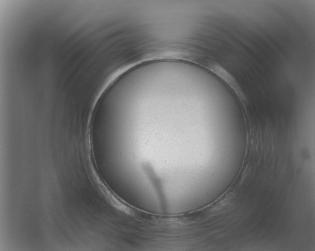 X0000059811436200511041642