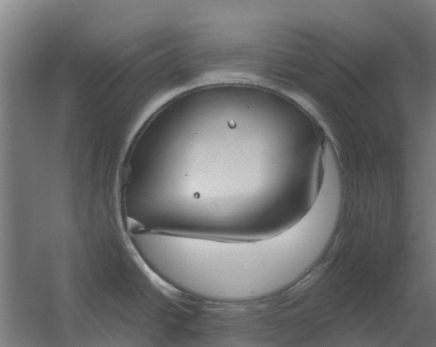 X0000059811438200511041642