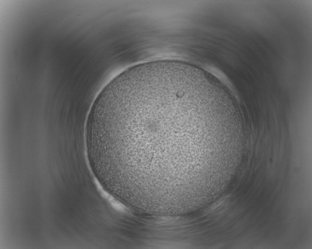 X0000059811439200511041642