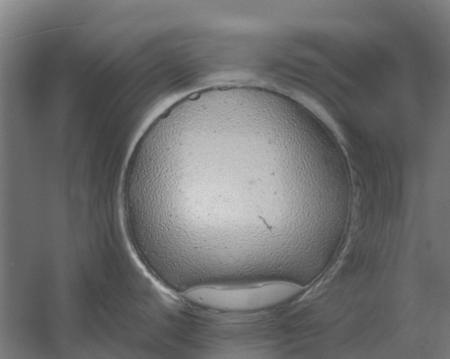 X0000059811440200511041642