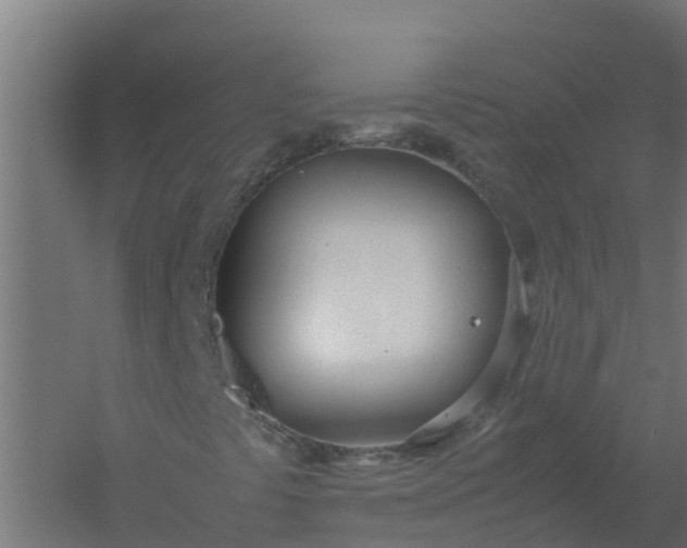 X0000059811441200511041641