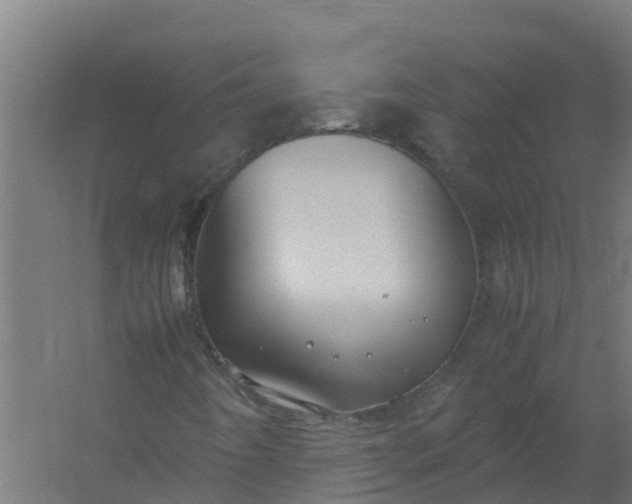 X0000059811442200511041641