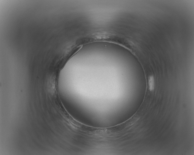 X0000059811444200511041641