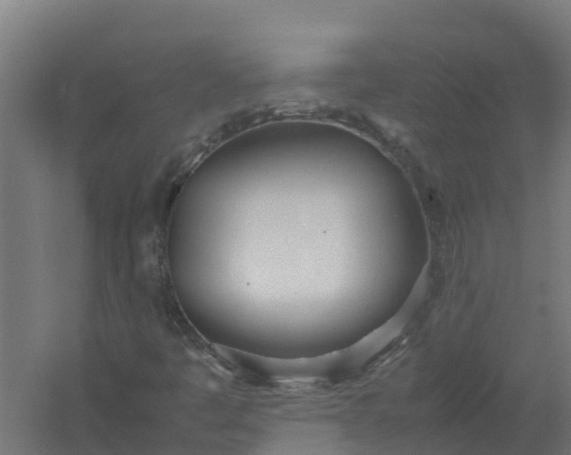 X0000059811445200511041641