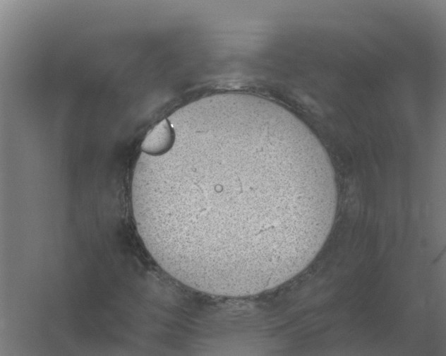 X0000059811446200511041641