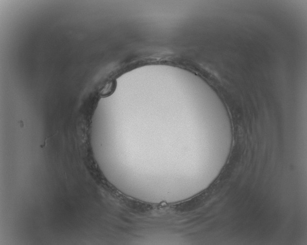 X0000059811447200511041641