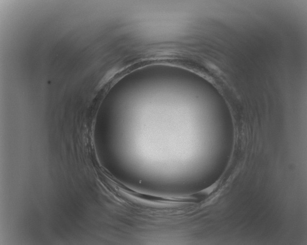 X0000059811449200511041641