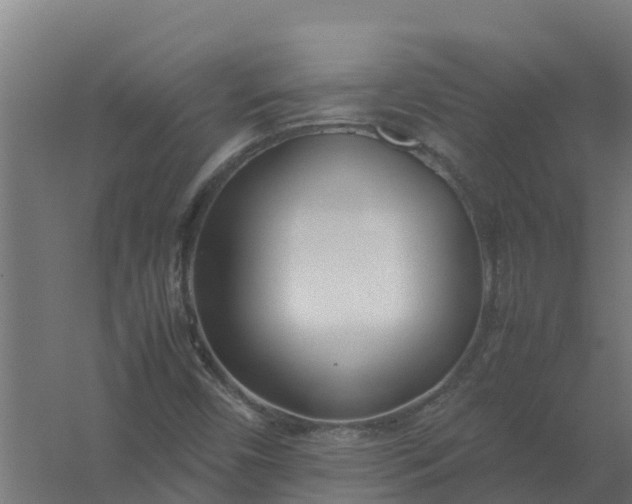 X0000059811450200511041641