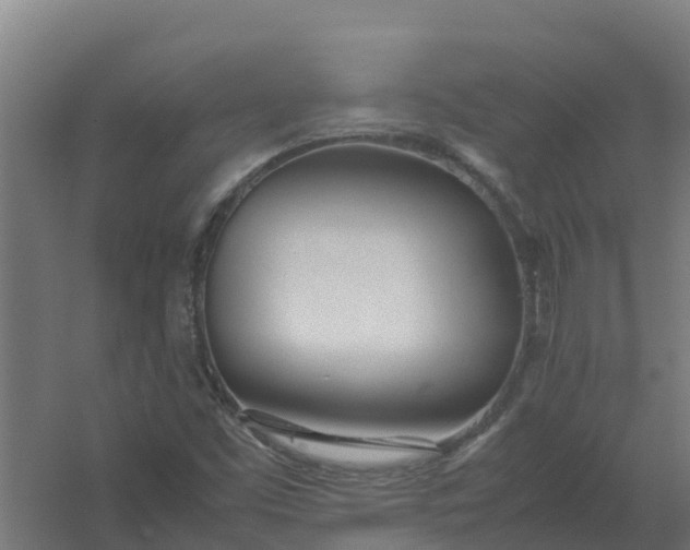 X0000059811453200511041641