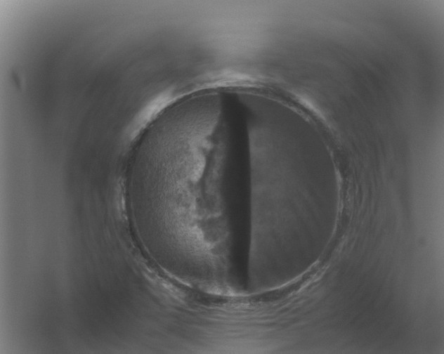 X0000059811455200511041641