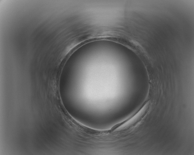 X0000059811457200511041641