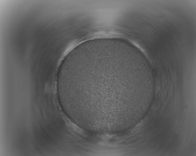 X0000059811459200511041641