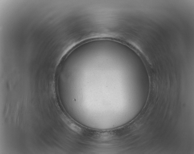 X0000059811460200511041641