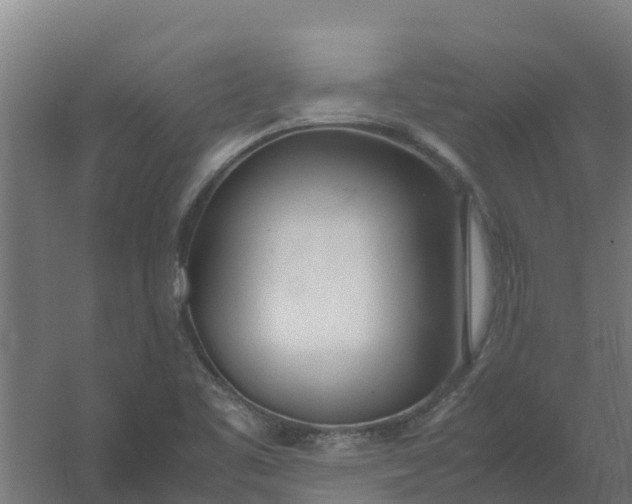 X0000059811461200511041641