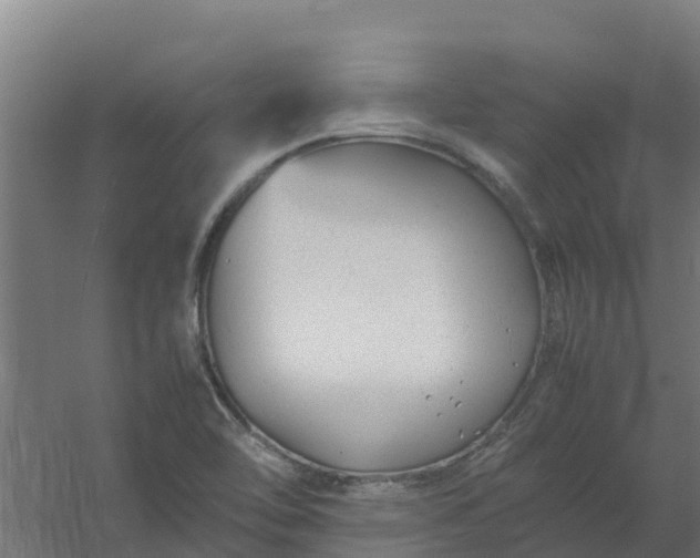 X0000059811462200511041641