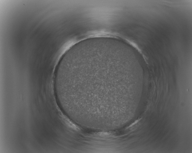 X0000059811463200511041641