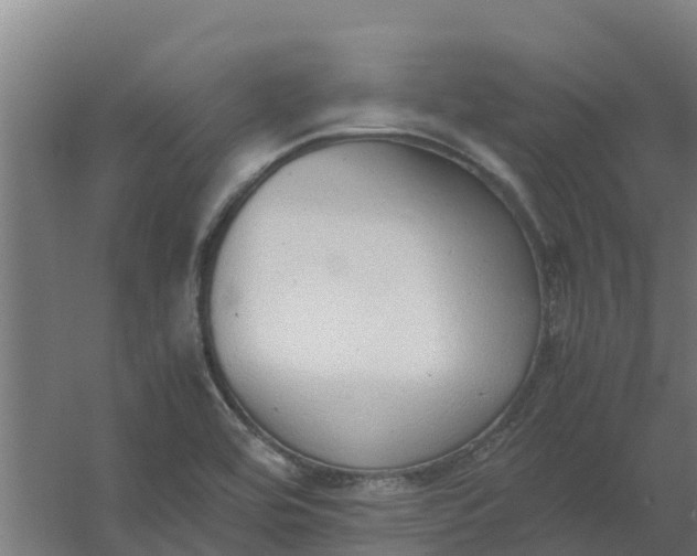 X0000059811464200511041641