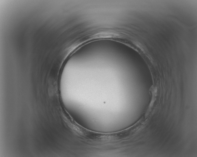 X0000059811465200511041641