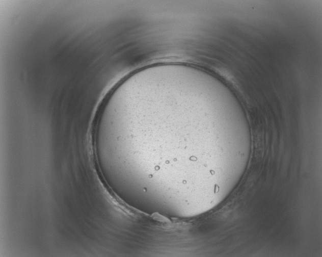 X0000059811466200511041641