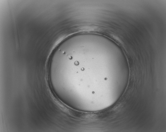 X0000059811467200511041641