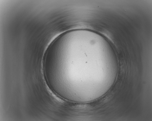 X0000059811468200511041641