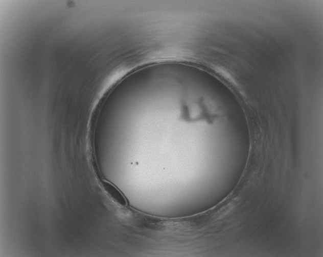 X0000059811469200511041641