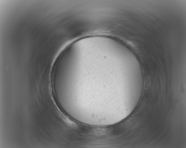 X0000059811470200511041641