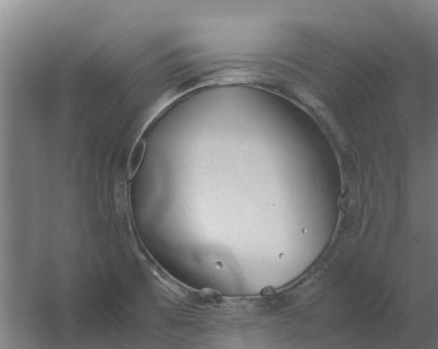 X0000059811473200511041641