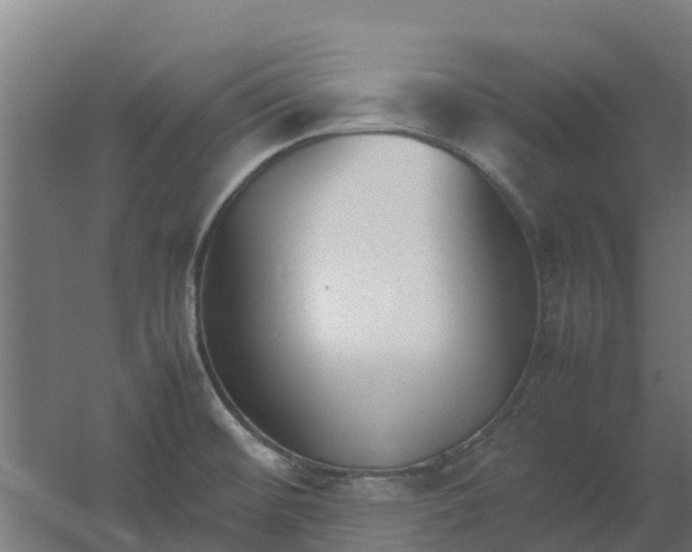 X0000059811476200511041641