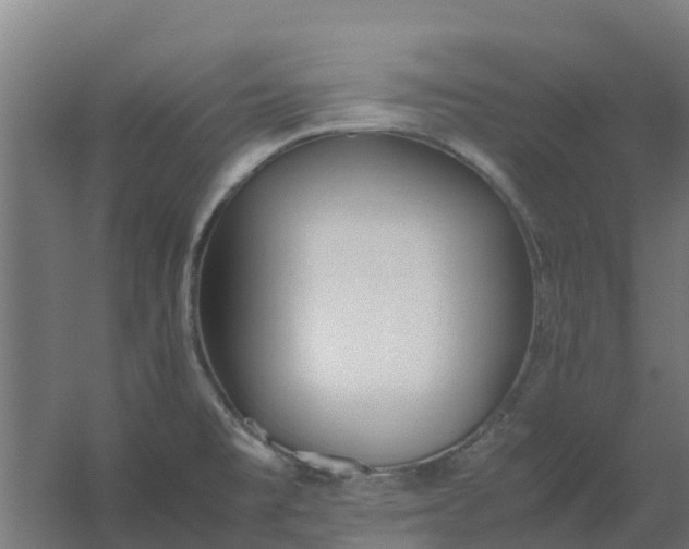 X0000059811477200511041640