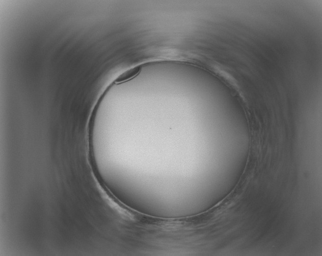 X0000059811479200511041640