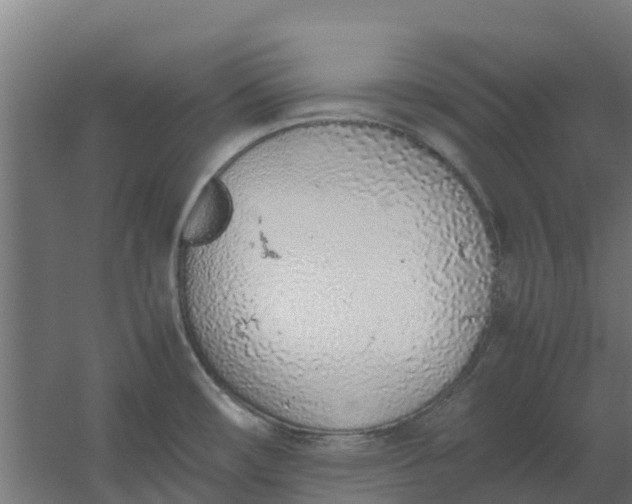 X0000059811482200511041640