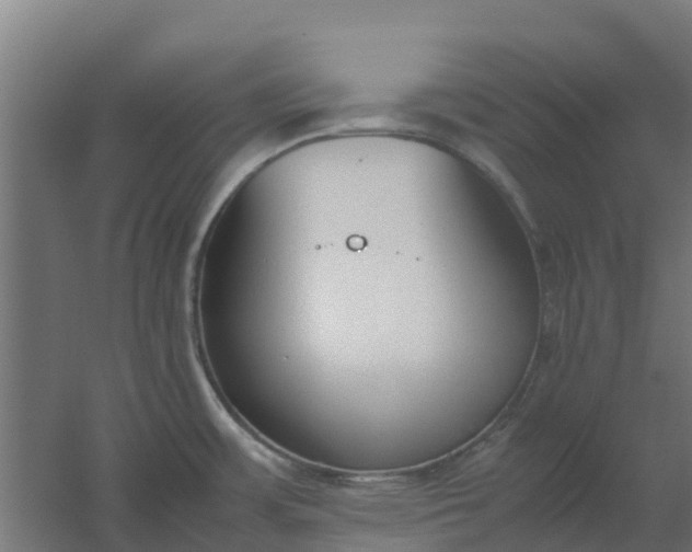 X0000059811483200511041640