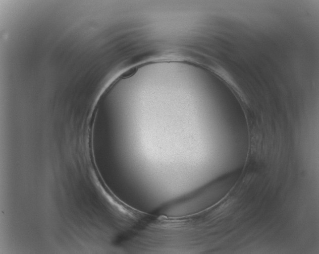 X0000059811484200511041640