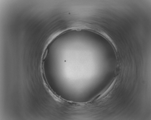 X0000059811485200511041640