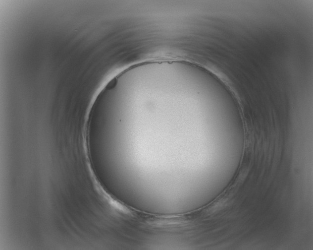 X0000059811486200511041640