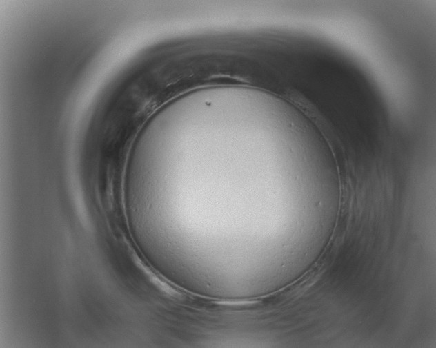 X0000059811487200511041640