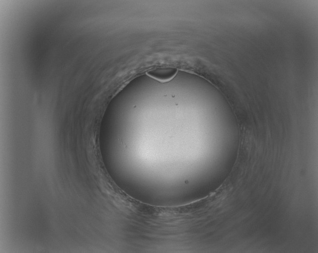 X0000059811489200511041639