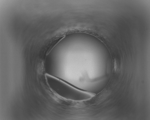 X0000059811492200511041640