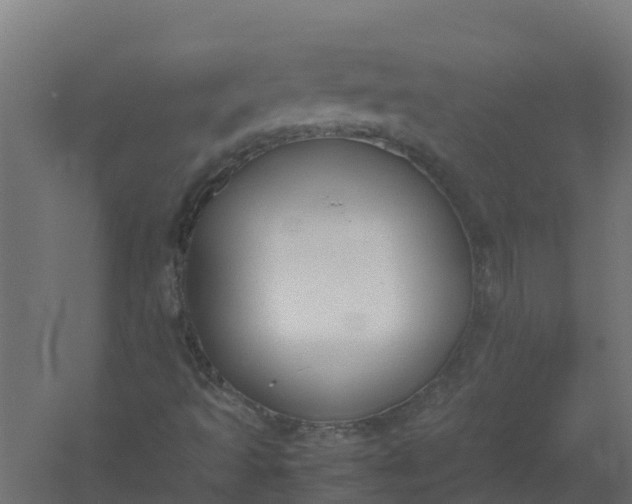 X0000059811493200511041640