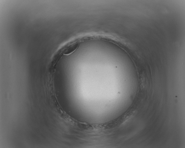 X0000059811494200511041640