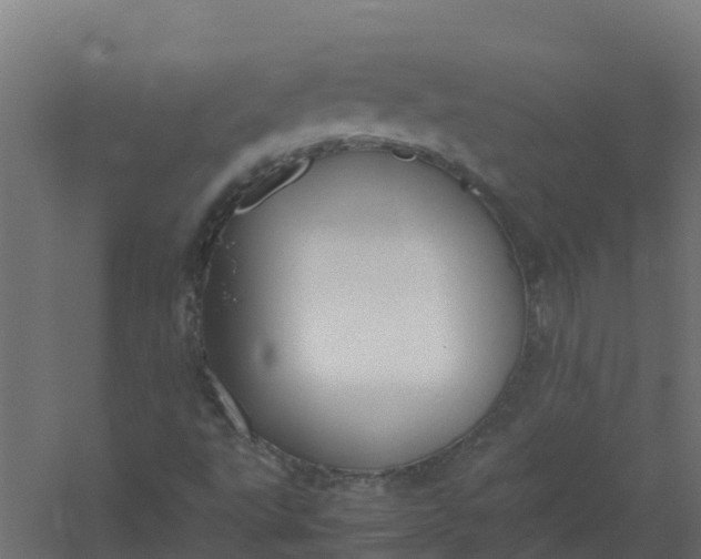 X0000059811495200511041640