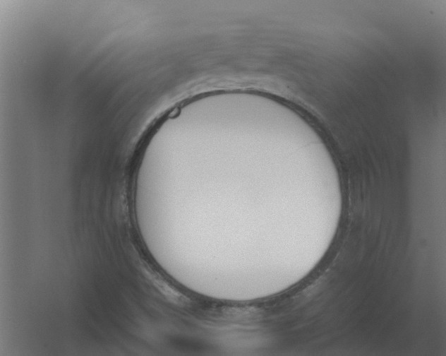 X0000059811498200511041640