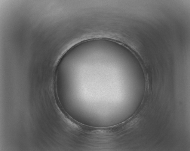 X0000059811500200511041640