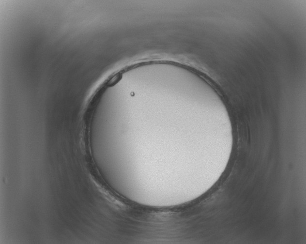 X0000059811502200511041640