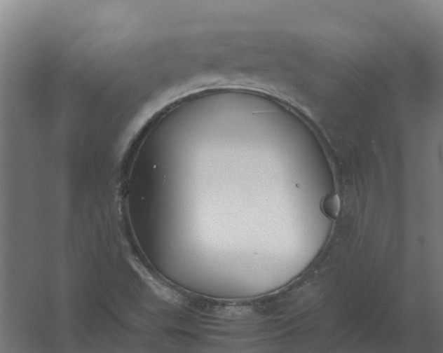 X0000059811503200511041640