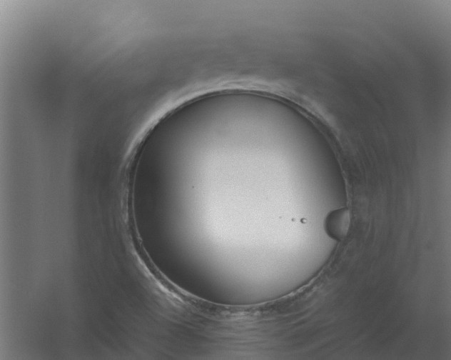 X0000059811504200511041640