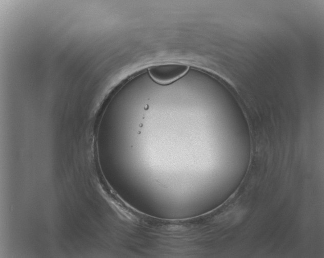 X0000059811507200511041640